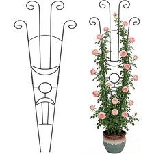Garden Trellis for Climbing