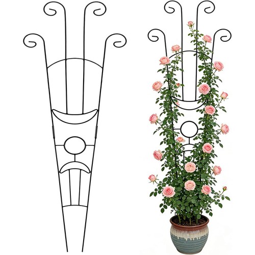 Garden trellis for - garden, climbing