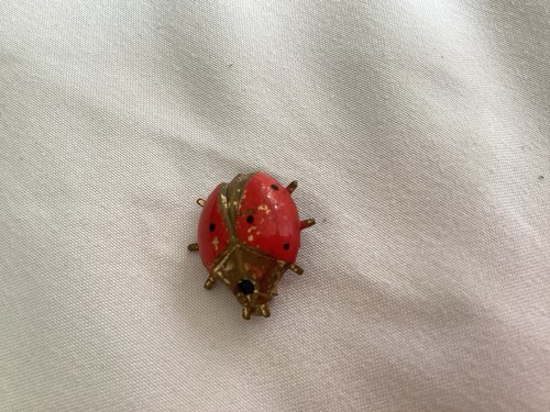 Ladybird brooch reasonable - brooch, ,