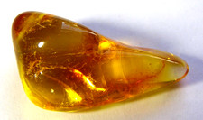 NATURAL BALTIC AMBER