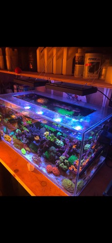 Custom aquarium 90x46x46cm - custom,
