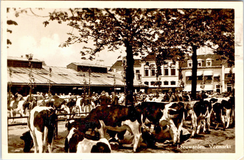 Vtg 1900s leeuwarden - vtg,