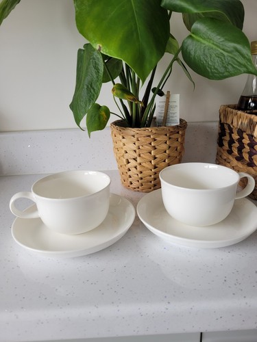 Procook fine bone china cups - procook,