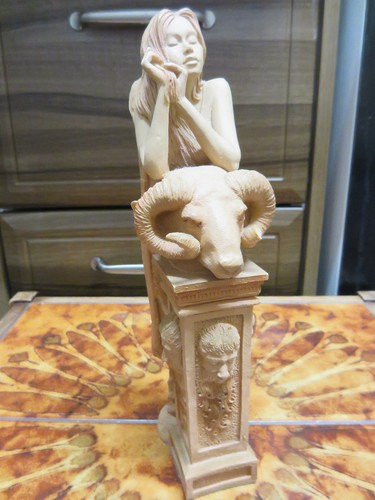 Rare aries zodiac sign - aries,