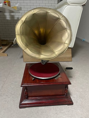 Vintage horn phonograph - vintage,