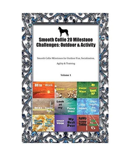 Smooth collie milestone - collie,