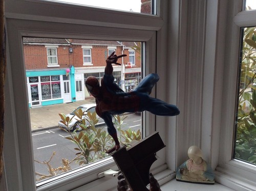 The amazing spider - the,