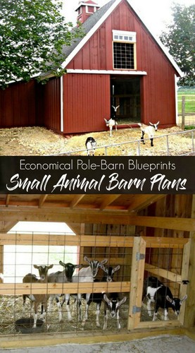 Small animal barn plans - small,