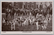 The Bicester Hounds Fox