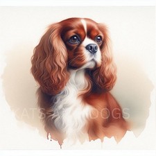 KING CHARLES CAVALIER