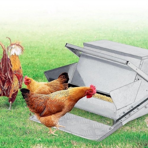 Automatic chicken feeder - automatic,