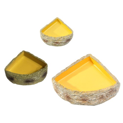 Reptile water dish - water, rock