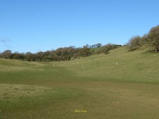 Photo 6x4 Grazing land south
