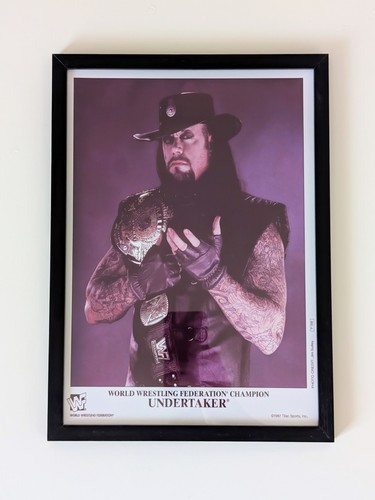 Wwf wrestling promo the - wwf,
