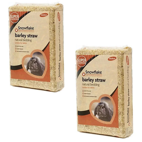 Snowflake medium compressed - medium,