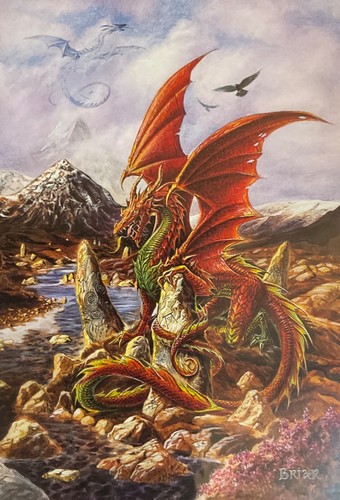 Briar fire dragon fantasy - briar, ~