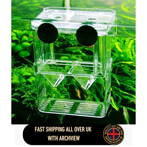 Aquarium fish breeding - aquarium,
