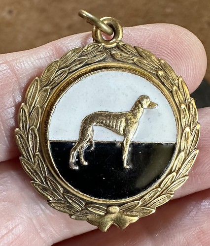 Vintage whippet racing - ,