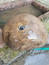 Natural  Real Sandstone Small
