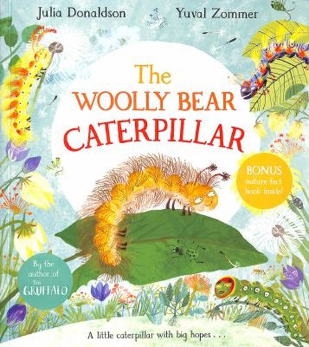 The woolly bear caterpillar - woolly,
