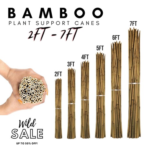 Bamboo heavy duty garden canes - bamboo,