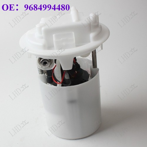 Fuel pump assembly for - for, citroen