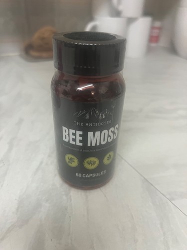 The antidotes bee - bee, moss
