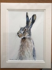 Hare Rabbit A4 Print Signed