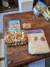 2 X Shell Boxes, Decorative