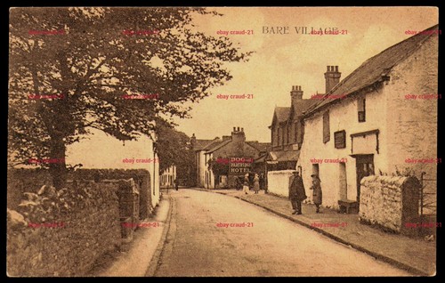 Bare village dog - village, and