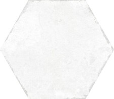 [C] SAMPLES Stylish Hexagonal