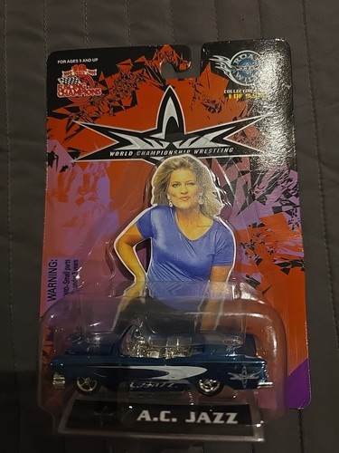 Vintage 1999 racing - vintage, champions