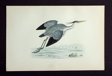 HERON, original antique