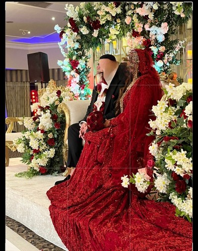 Elegant pakistani bridal - elegant,
