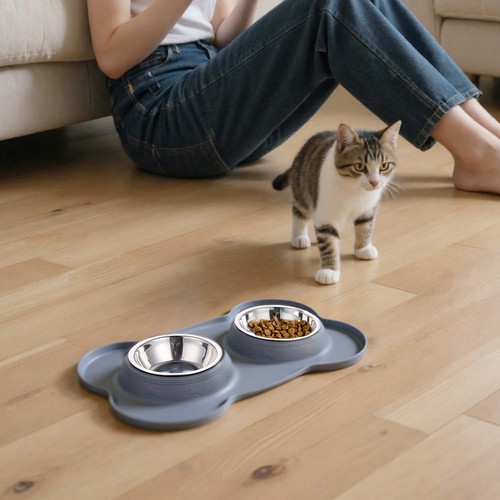 Pet bowl food and drink - pet,