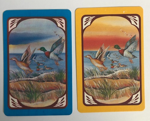 Flying birds mallard - mallard, wood