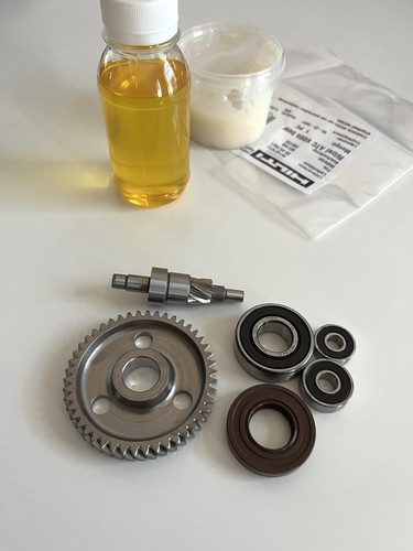 Eccentric gear rotor - eccentric,