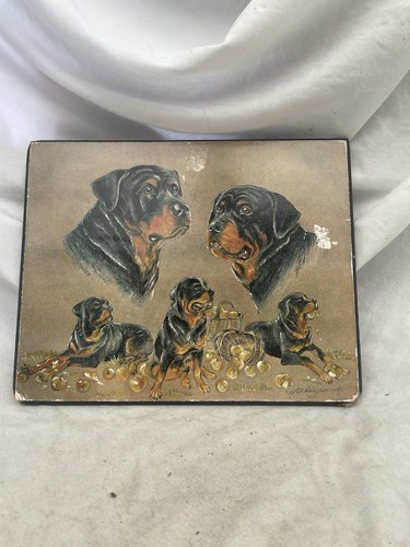 Rottweiler dogs art print - rottweiler,
