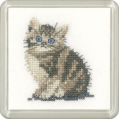Tabby kitten little - tabby,