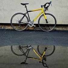 Carrera TDF LTD Edition -