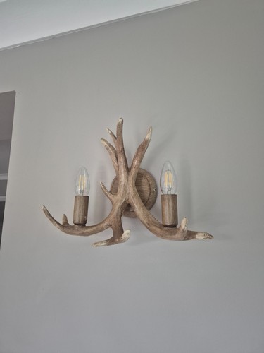 Next antler wall and - antler,