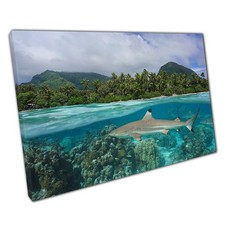 Tropical Seascape Canvas Print