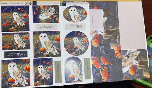 Pollyanna pickering owls - -,