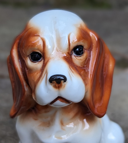 Vintage cocker spaniel - cocker, puppy
