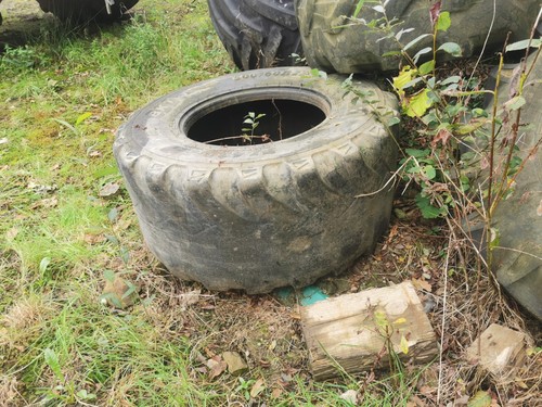 500 bkt tyre - bkt,