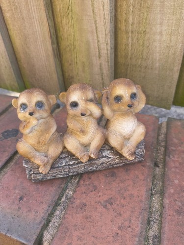 The three meerkats see - meerkats, 'see