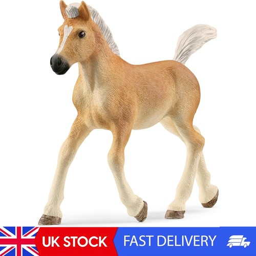 Horse club haflinger - -, foal