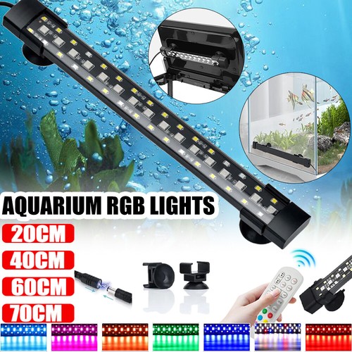 Aquarium fish tank - tank,