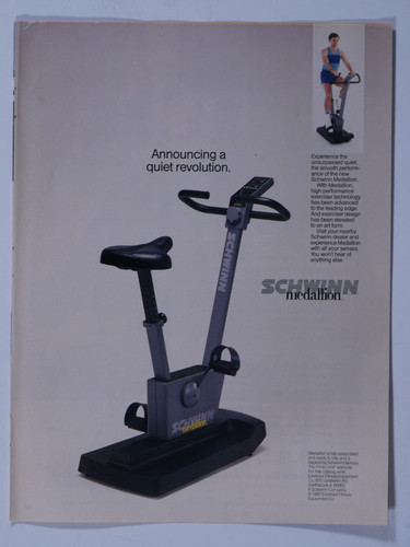 1987 schwinn medallion - 1987,
