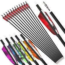 28" 30" 31" Carbon Arrows 4" Feather SP500 Archery Hunting Recurve Compound Bow 